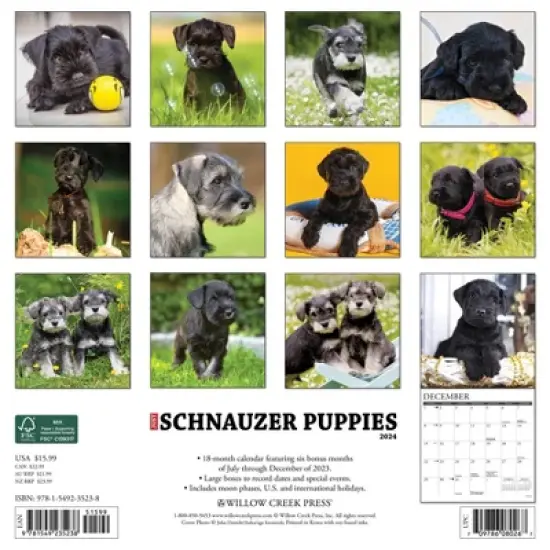 Willow Creek Press 2024 Wall Calendar 12"x12" Just Schnauzer Puppies image {1}