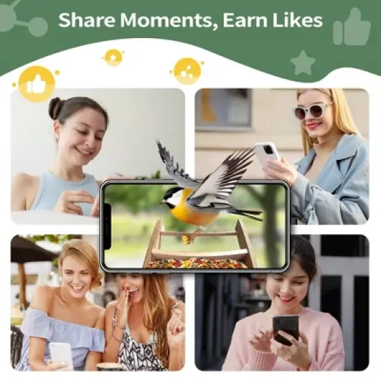 Sandinrayli Smart Bird Feeder with Camera, 1080P HD AI Identify Bird Watching Camera image {9}