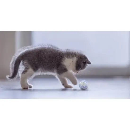 Pet Genius Smart Pet Play Ball image {3}