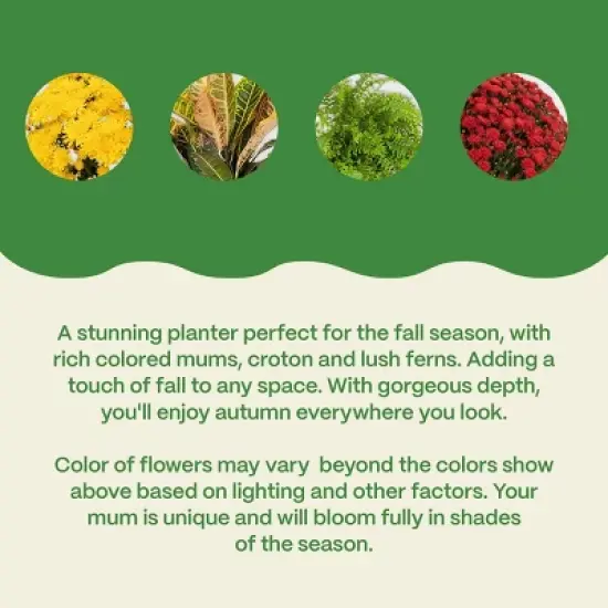 12" Fall Combo Planter - Good Little Garden&trade; image {4}