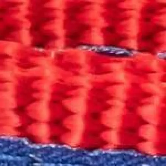 The Worthy Dog Chomp Dog Leash image {2}