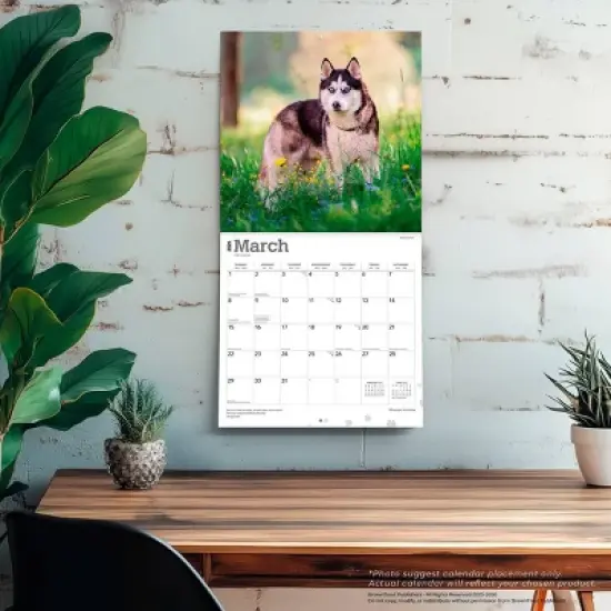 BrownTrout Siberian Huskies 2026 12"x24" Hanging Square Wall Calendar Plastic-Free image {4}