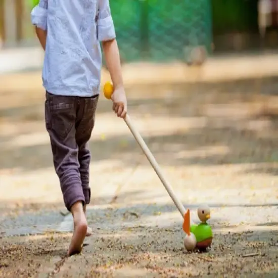 Plantoys| Push Along Duck image {3}