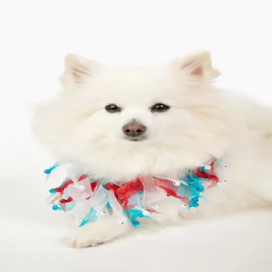 Midlee 4th of July Decorative Dog Bell Collar image {1}