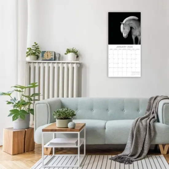 2026 Square Wall Calendar, Horse Portraits, 16-Month Black and White Photos Theme with 180 Reminder Stickers (12x12 In) image {1}