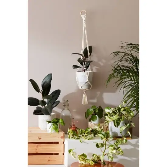 Hang Time DIY Macrame Plant Pot Hanger image {1}