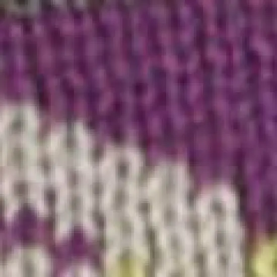 Turtle Fur Women's Apres Headband image {2}