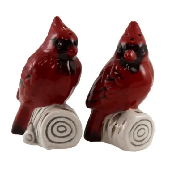 Ganz 3.25 In Cardinal Salt & Pepper Set. , Earthenware (2PC) image {3}