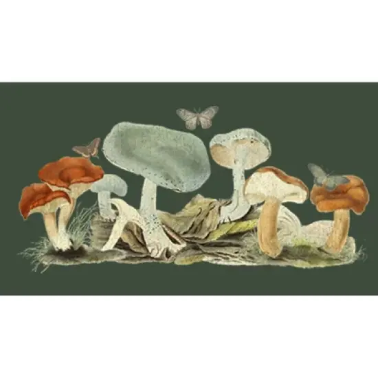 Junior's Lost Gods Retro Mushrooms Festival Muscle Tee image {1}