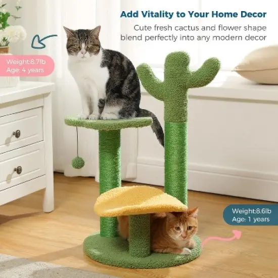 Multi-Level Indoor Cat Tree with Perch & Ball & Scratching Posts image {8}