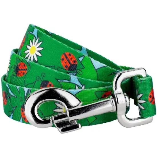 Country Brook Petz 4 Foot Dog Leash - Summer Breeze Collection image {1}