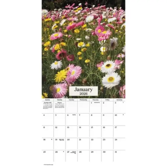Trends International 2026 Nature's Bouquet 12"x12" Wall Calendar image {1}