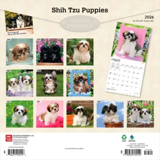 BrownTrout Shih Tzu Puppies 2026 12"x24" Hanging Square Wall Calendar Plastic-Free image {1}