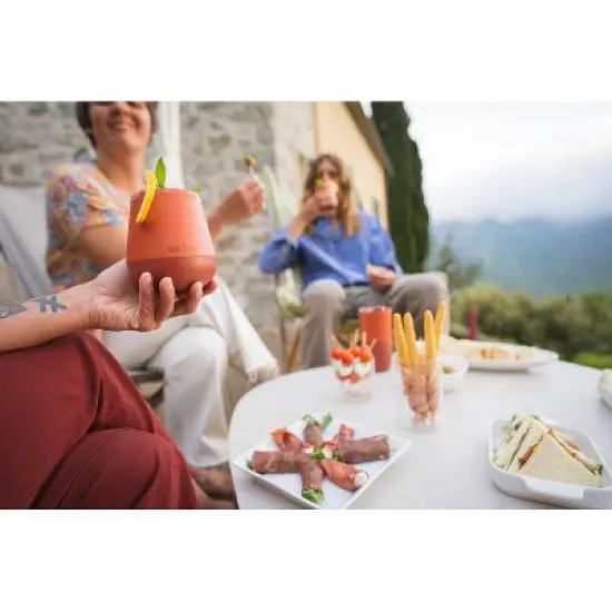 Klean Kanteen 10oz Stainless Steel Rise Wine Tumbler image {3}