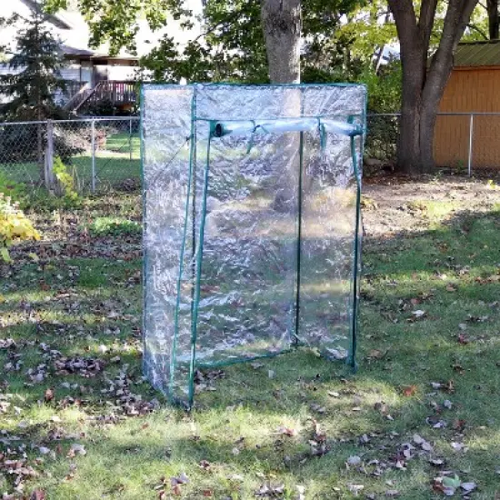 Sunnydaze Outdoor Deluxe Portable Large Potted Plant and Starter Tomato Plant Greenhouse with Roll-Up Door - Clear image {1}