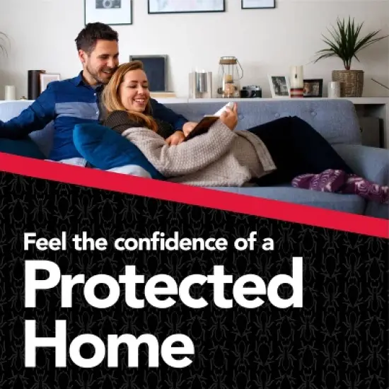 Raid Max Ant and Roach Killer Bug Spray - 14.5oz image {6}