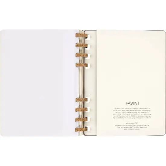 Moleskine 2023-24  Academic Weekly Planner 10"x8" XL Spiral Almond image {10}