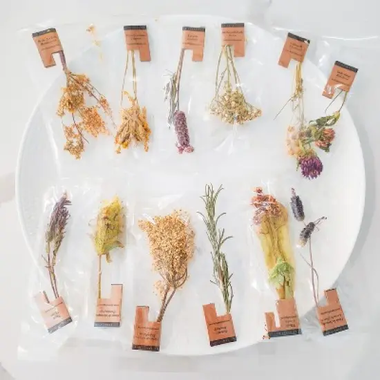 Celebration Mixed Gift Box Organic Tea in Stem image {3}