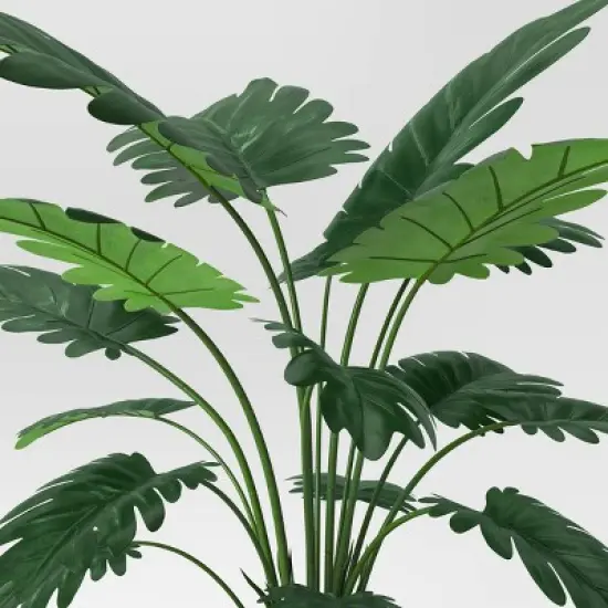 Large Philodendron Potted Plant - Threshold&trade; image {2}