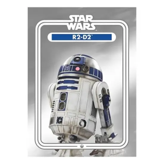 NMR Distribution Star Wars R2-D2 2.5 x 3.5 Inch Flat Magnet image {4}