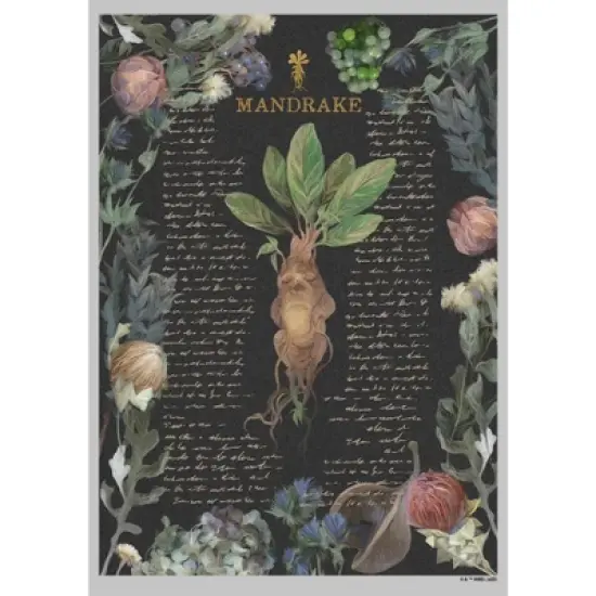 Junior's Harry Potter Mandrake Root Recipe T-Shirt image {1}