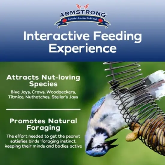 Armstrong Wild Bird Food Peanut Coil Feeder image {1}