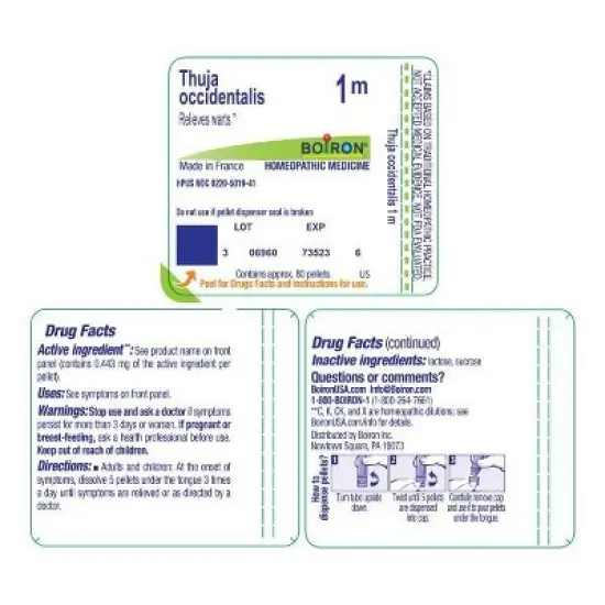 Thuja Occidentalis 1M by Boiron Homeopathic Single Medicine For First Aid  -  80 Pellet image {1}