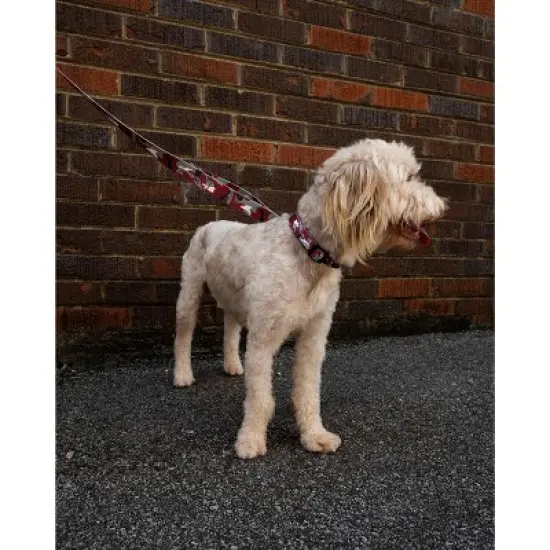 Country Brook Petz Deluxe Dog Collar - Sports and Athletics Collection - Made In The U.S.A. image {2}