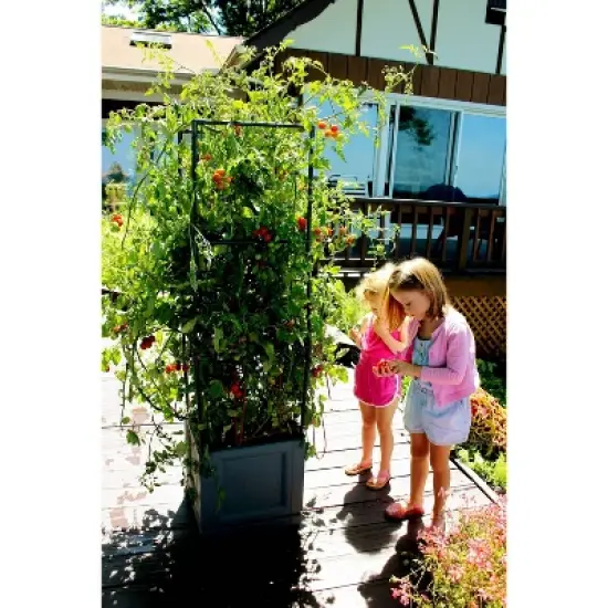 Emsco 59.25" XL Trellis Tower: Portable Vertical Garden, Swivel Casters, Tool-Free Setup, Polyethylene image {5}