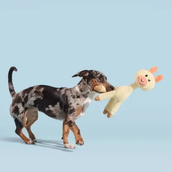 BARK Big Al Paca Dog Toy image {3}