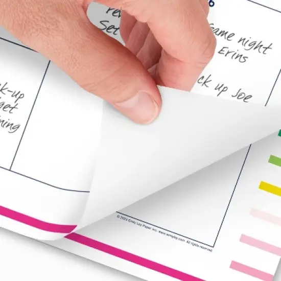 Emily Ley for At-A-Glance Standard Desk Happy Stripe July 2025 to June 2026 image {2}