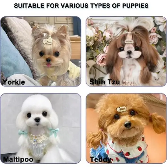 BABYYER Cat-Ear Design Puppy Brush, Gentle Soft-Bristle Small Dogs Plastic Detangling Grooming Tool, Fit for for Furry Pet image {6}