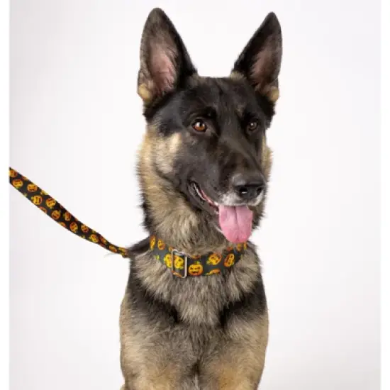 Country Brook Petz Happy Jack Martingale Dog Collar (1 Inch, Extra Large) image {4}