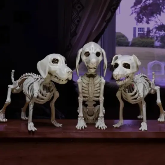 Halloween Dog Skeleton 3 Pack Indoor/Outdoor Decorations-Plastic Animal Bones for Party Table Decor, Haunted Houses- A Trio of Unique Canine Skeletons image {1}