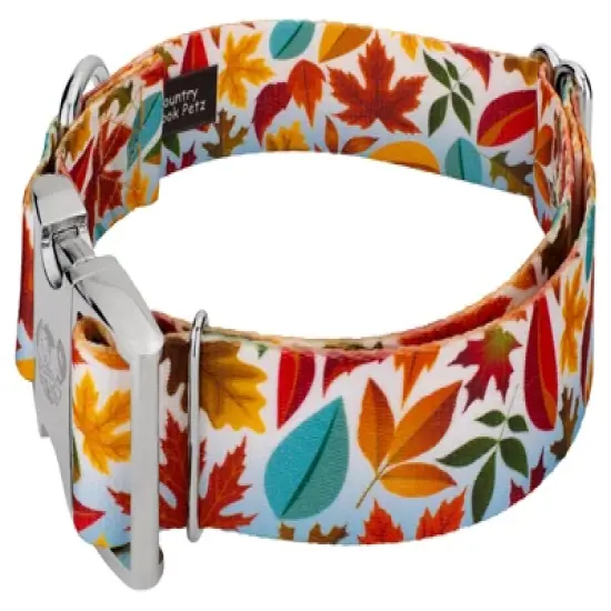 Country Brook Petz 1 1/2 Inch Premium Brisk Autumn Dog Collar image {1}