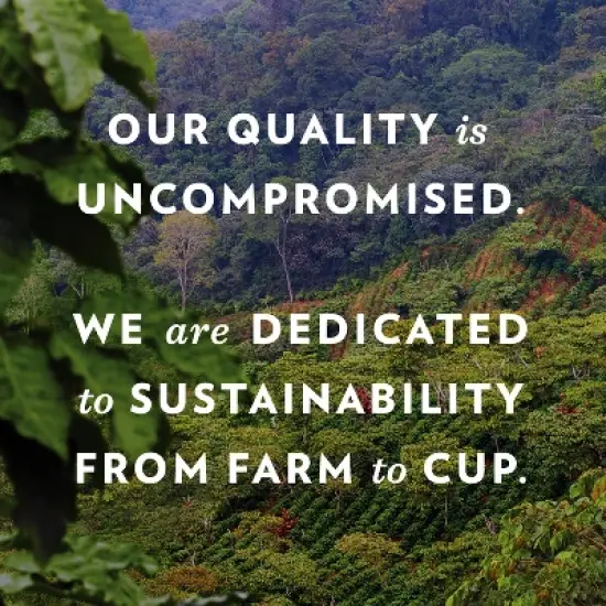 Community Dark Roast Coffee Pods - 48ct/18.6oz image {3}