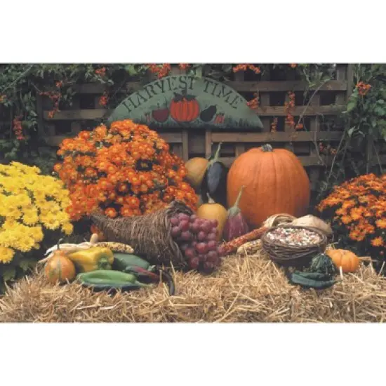 Signature Cards Thanksgiving Greeting Card Box Set of 25 Cards & 26 Envelopes - HT100 image {1}