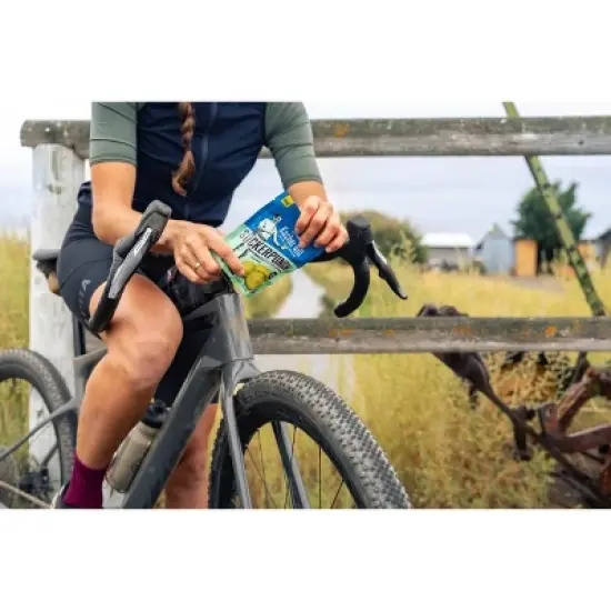 SuckerPunch Gourmet Kosher Dill Pickles - 17 fl oz/5ct image {4}