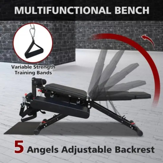 Dexmalle Fitness Chair Multifunction image {3}