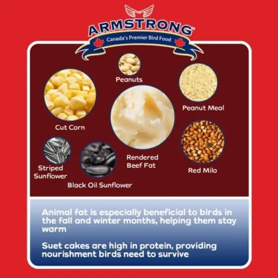 Armstrong Wild Bird Food Woodpecker Suet Cake, 10.6oz (Pack of 12) image {4}