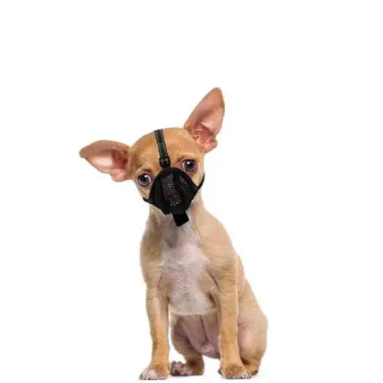 Unique Bargains Reflective Adjustable Basket Muzzle with Air Mesh X-Small 1 Pc image {4}