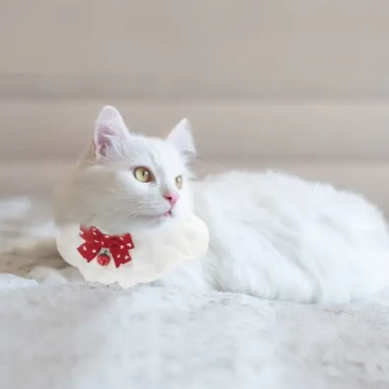 Unique Bargains  Pet Lace Bib Collar Red Black 2 Pcs image {1}