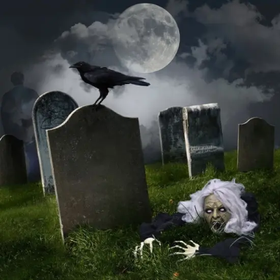 Nifti Nest Halloween Groundbreaker Wicked Witch Zombie image {3}