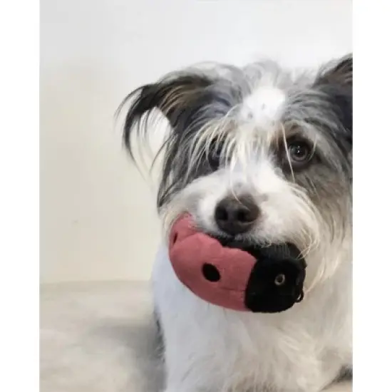Fluff & Tuff Lady Bug Dog Toy image {2}