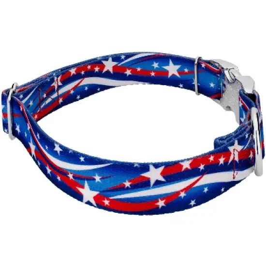 Country Brook Petz Premium Star Spangled Dog Collar and Leash image {3}