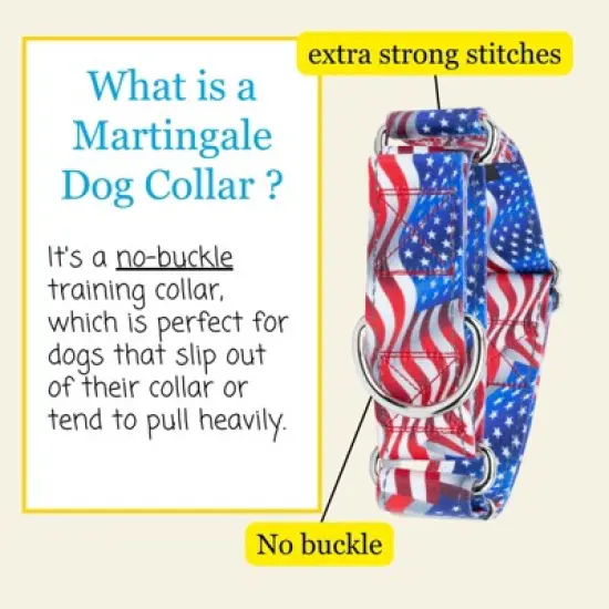 Country Brook Petz HossFit Jr Wide Reflective Martingale Dog Collar Collection Featuring Night Safe Designs image {2}