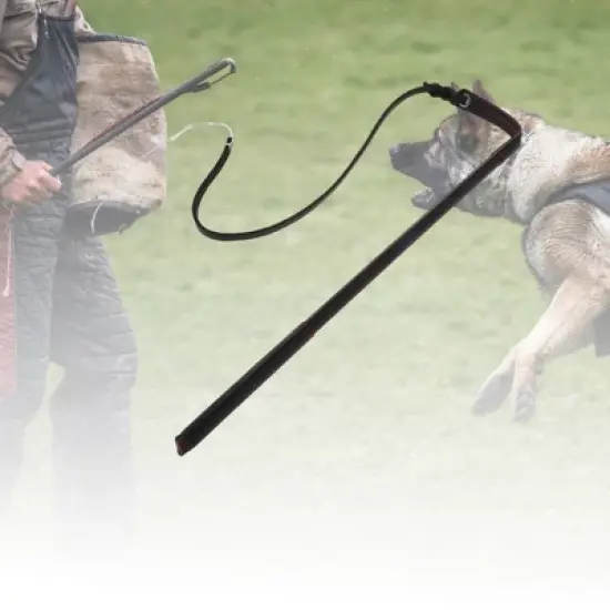 Unique Bargains Dog Training Whip 20.87" Rod Length Black 1 Pc image {5}