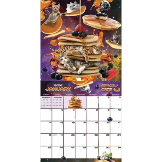 TF Publishing 13.5"x14.5" 2026 Space Cats Wall Calendar image {5}