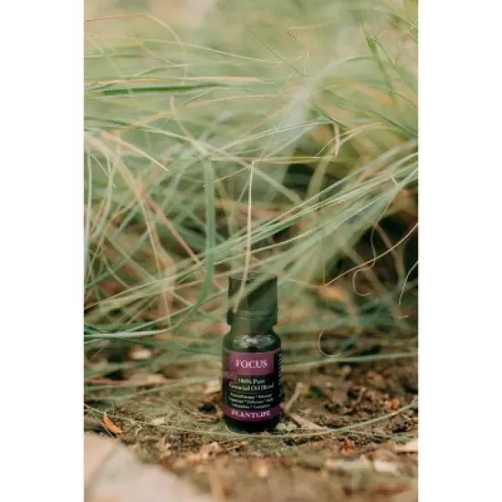 Plantlife Focus Essential Oil Blend &ndash; 100% Pure & Therapeutic Grade &ndash; Natural, Undiluted &ndash; No Additives or Fillers &ndash; Made in USA &ndash; 10ml Aromatherapy image {3}