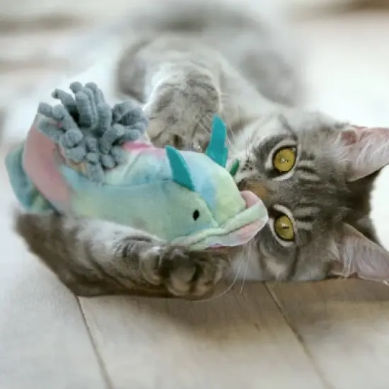 FurHaven Pet Products Catnip Crinkles Plush Cat Toy Set - Sea Slugs Coral and Kelp (2 PK) image {4}